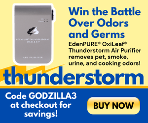 EP-Thunderstorm-III-Banner-GODZILLA3-300x250-1.png